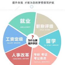 武漢思睿博途教育服務(wù)公司 專業(yè)教育咨詢服務(wù)的引領(lǐng)者